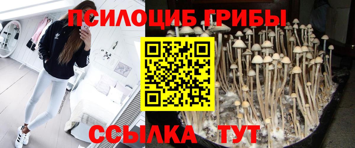 МЕФ   Выкса  Каннабис  Вход с VPN  ГАШ 
