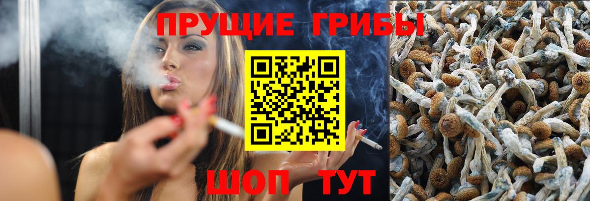Галлюциногенные грибы мицелий  Псилоцибиновые грибы мицелий  Выкса  Вход с VPN 